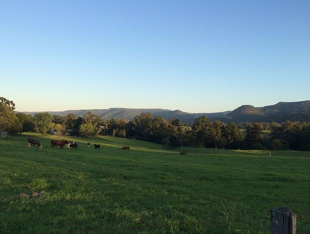 Photo 21 for The Tailor's Cottage, Kangaroo Valley