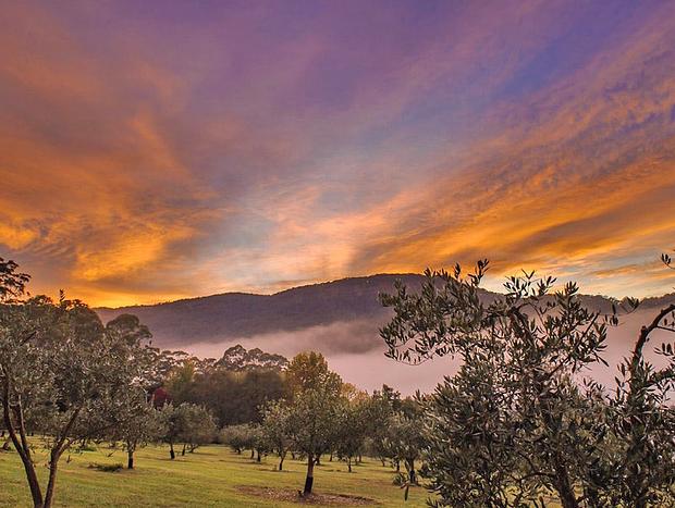 Photo 27 for The Tailor's Cottage, Kangaroo Valley