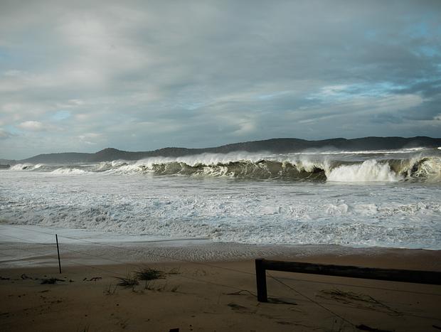 Photo 1 for Pearl Beach Visit