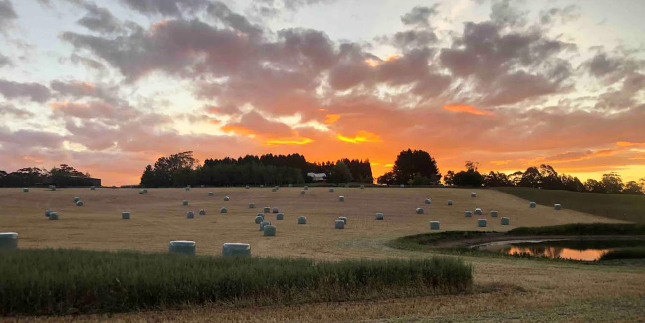 Shed 85 Farm for Rent in Manchester Square, Country NSW, NSW, AU