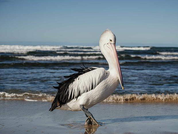 Photo 2 for Lennox Head Beach