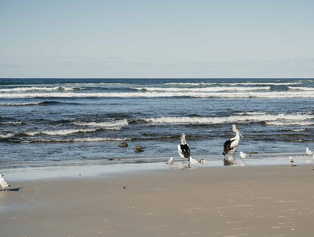 Photo 4 for Lennox Head Beach