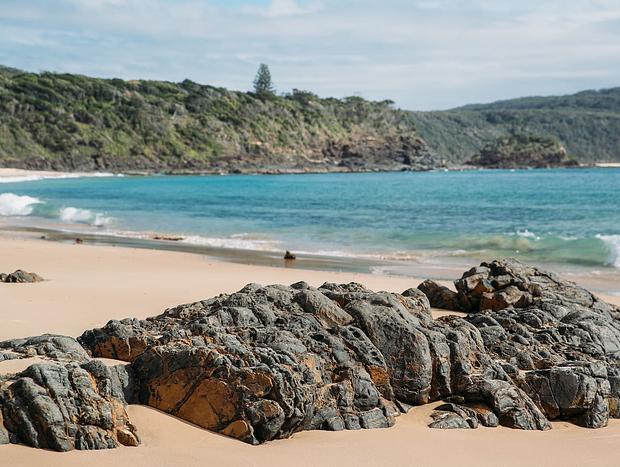 Photo 20 for Wandha Myall Lakes ~ Eco-Certified ~ Dog Friendly