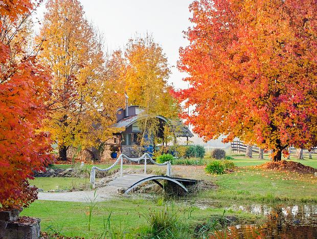 Photo 17 for Beautiful Romantic Snowgum Chalet | Spa | Near Bright