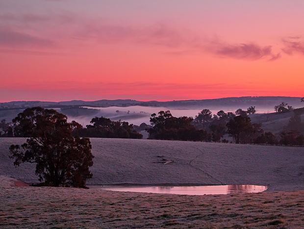 Photo 7 for Farm Life Fairytale