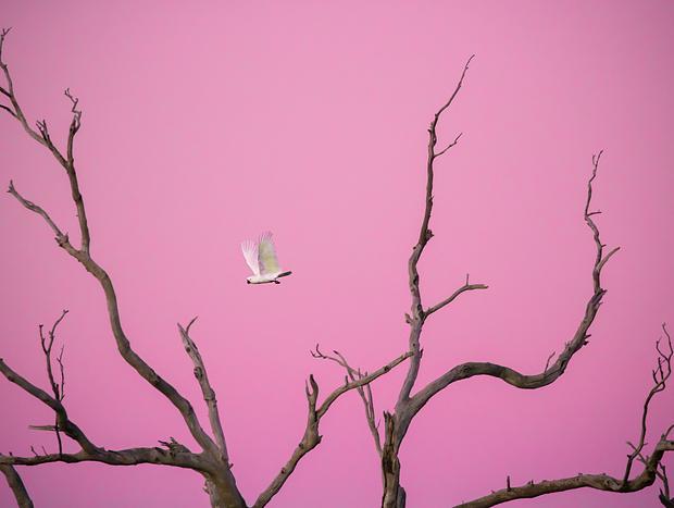 Photo 3 for undefined