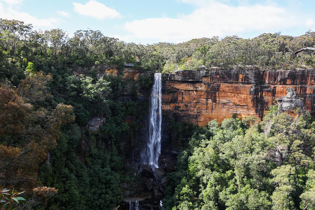 Fitzroy Falls Riparide
