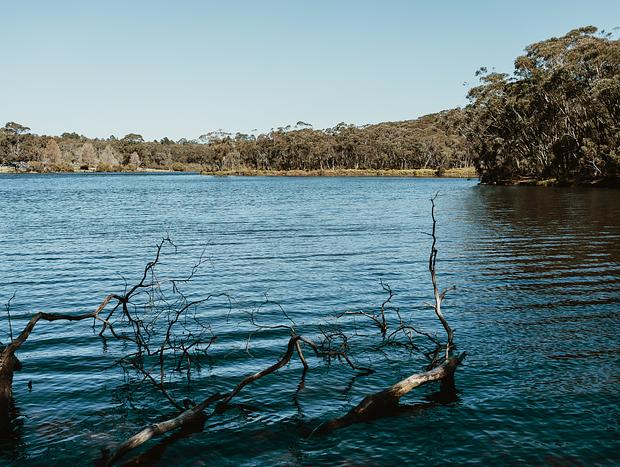 Photo 1 for Go for a stroll and a picnic at Wentworth Falls Lake