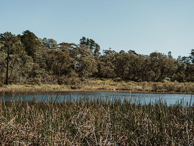 Photo 2 for Go for a stroll and a picnic at Wentworth Falls Lake