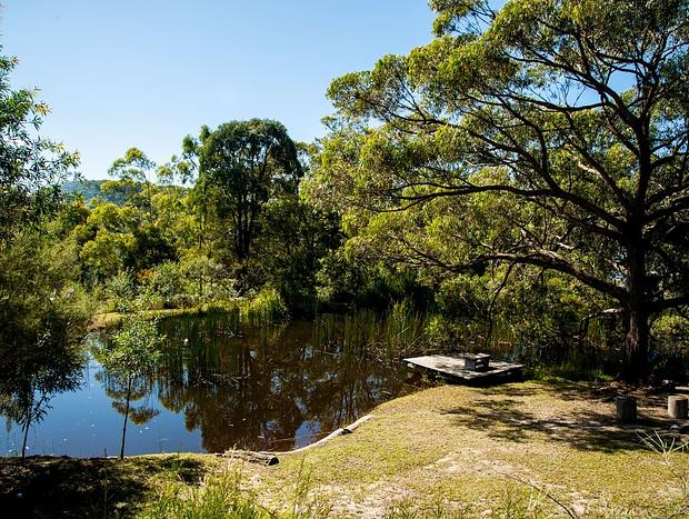 Photo 16 for Corroboree Cottage
