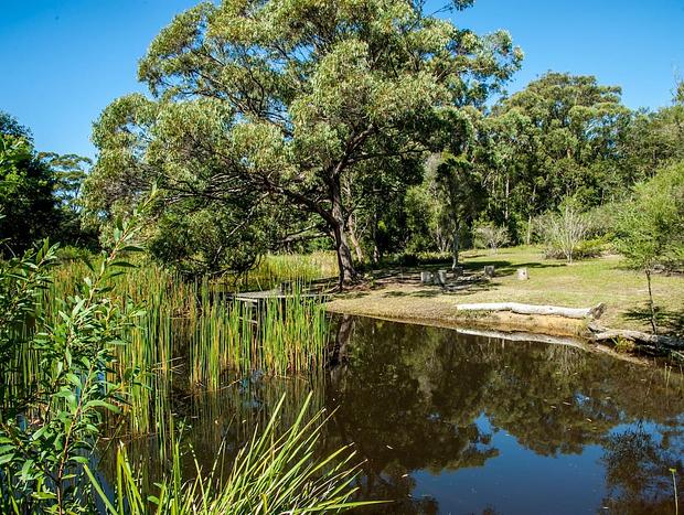 Photo 18 for Corroboree Cottage