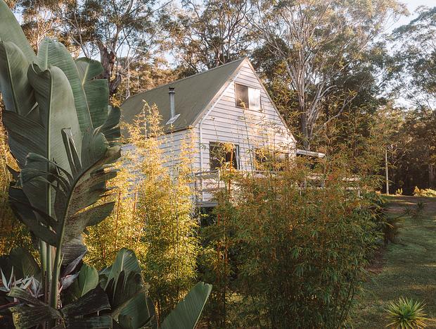 Photo 11 for Tree House Vibes