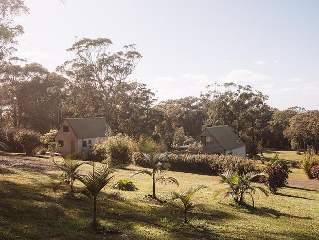 Photo 6 for Tree House Vibes