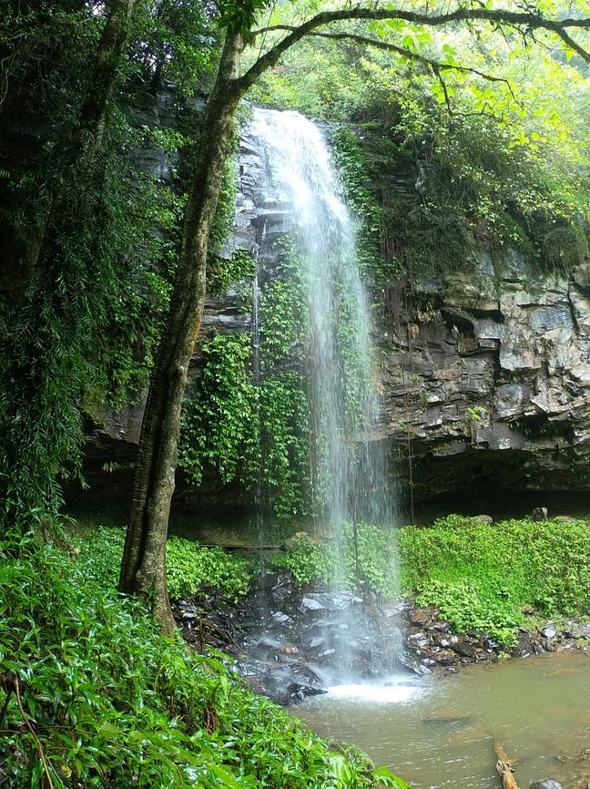 Image showcasing Off-the-Grid Waterfalls - Adventure by calumn in Lowanna, North Coast ...
