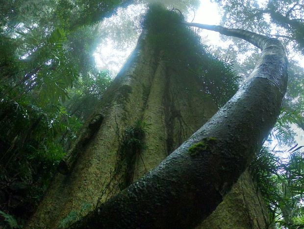 Photo 3 for undefined