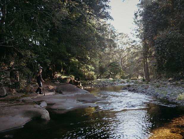 Photo 14 for Isolated River Tranquility