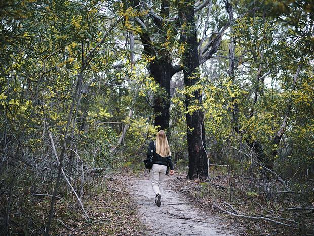 Photo 3 for The Pinnacles Loop Walking Track