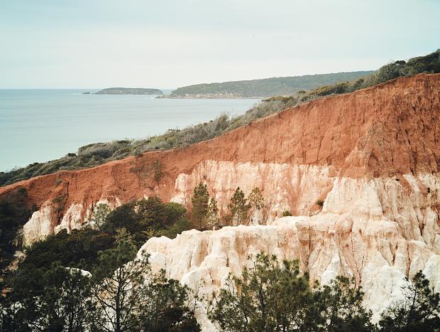 Photo 4 for The Pinnacles Loop Walking Track