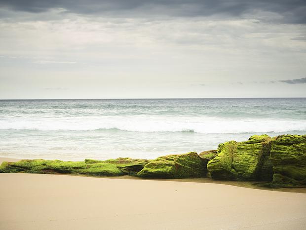 Photo 2 for Walk on Quondolo Beach