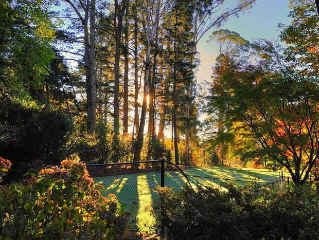 Photo 32 for Dennarque Estate - Camellia Lodge, Mount Wilson