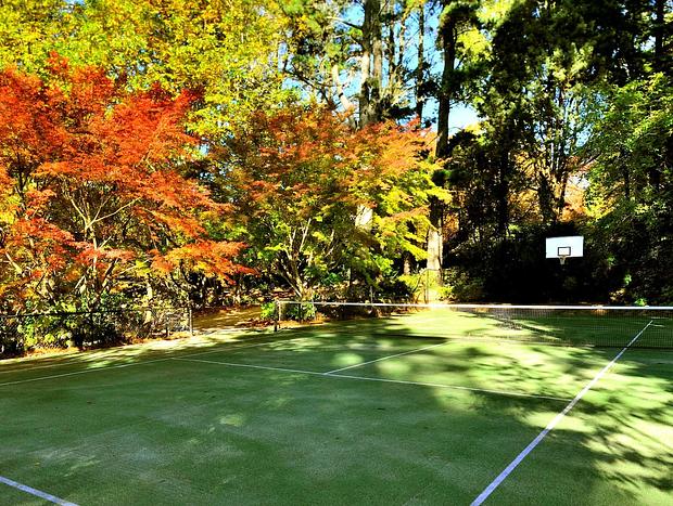 Photo 27 for Dennarque Estate - Camellia Lodge, Mount Wilson