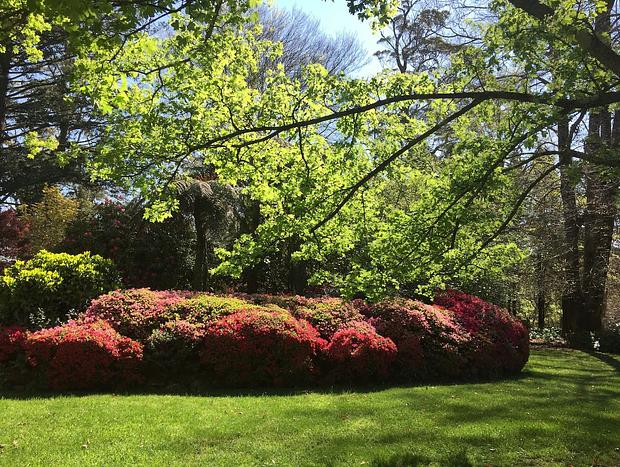 Photo 29 for Dennarque Estate - Camellia Lodge, Mount Wilson