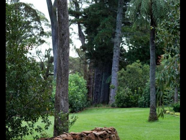 Photo 19 for Dennarque Estate - Koonawarra Cottage, Mount Wilson