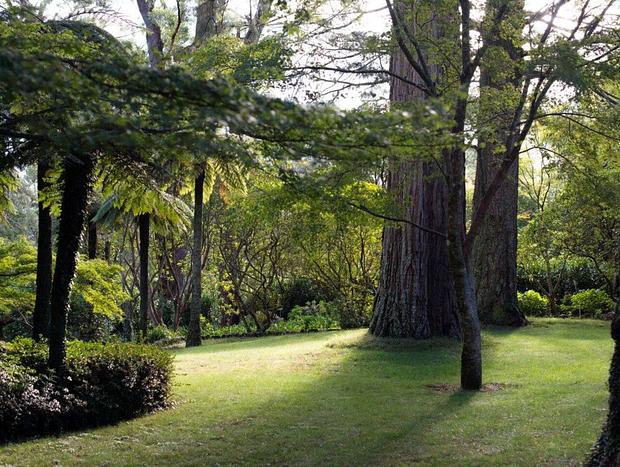 Photo 20 for Dennarque Estate - Koonawarra Cottage, Mount Wilson