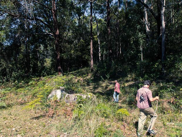 Photo 18 for Country Camping in Bungabee Springs