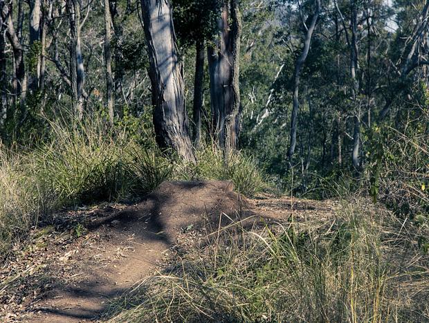 Photo 22 for Country Camping in Bungabee Springs