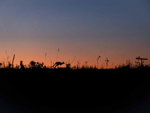 Photo 4 for Lookout Camp Sunset