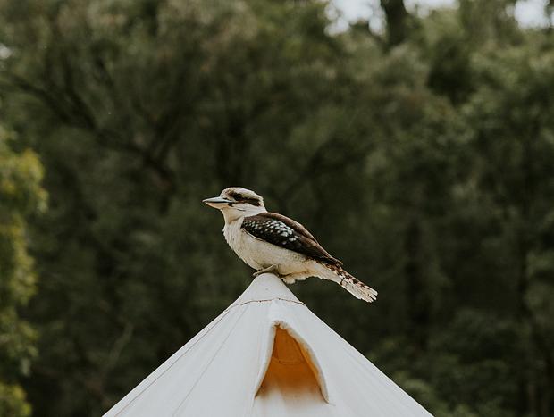 Photo 12 for Glamping in the Valley