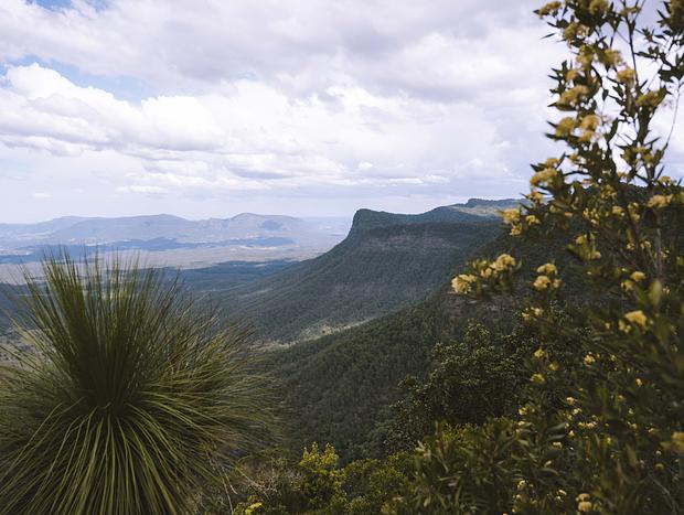 Photo 3 for The Border Ranges National Park Lookout