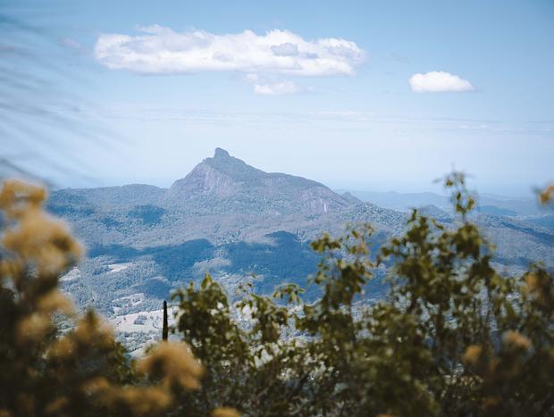 Photo 1 for The Border Ranges National Park Lookout