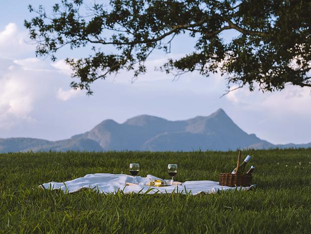 Photo 1 for Sunset Picnic Under the Fig Tree