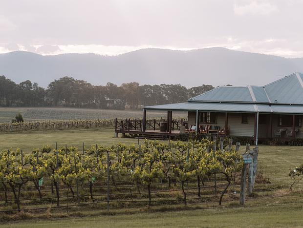 Photo 4 for Wine tasting at The Hanging Tree Wines