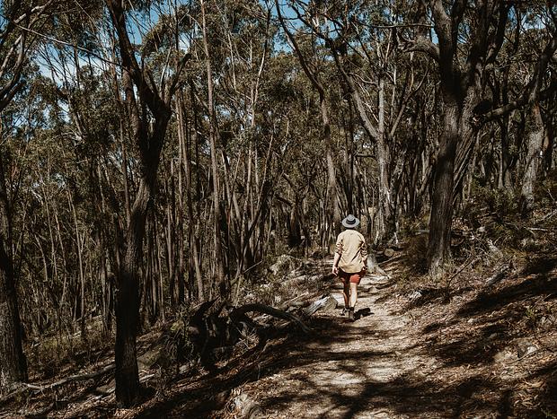 Photo 5 for Discover the Big Hole in Deua National Park