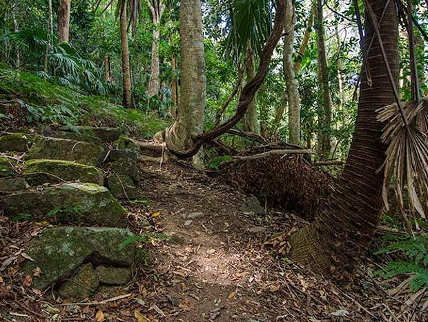 Photo 33 for The Bower - Stylish Garden Bungalow Mount Kembla