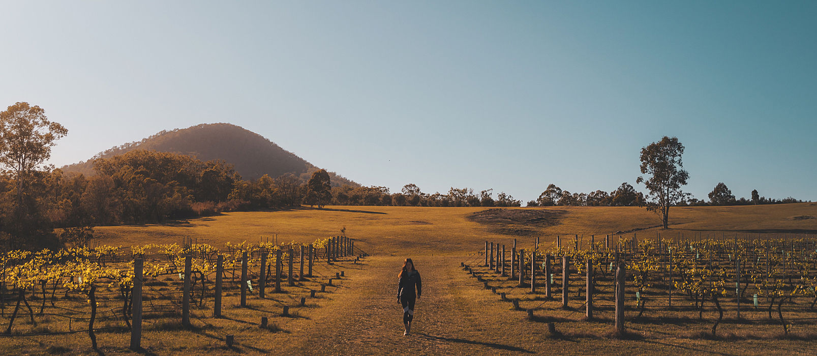 Explore Hunter Valley & things to