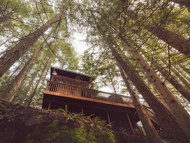 Photo 1 for Hideaway Amongst the Trees in Bellingham