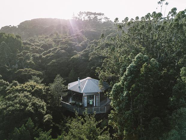 Photo 1 for Waiheke Hidden Gem Tree House