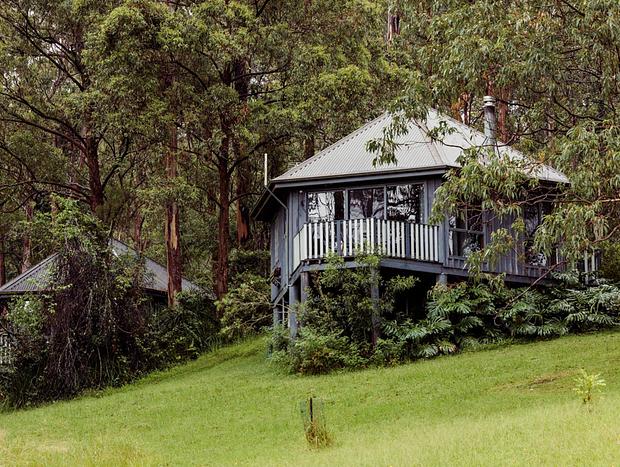 Photo 1 for Serenity Among the Trees