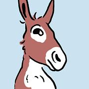 Shuchin 's profile photo