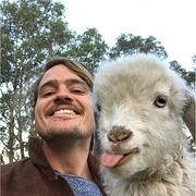 Harry's profile photo