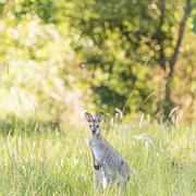 Clarendon Forest's profile photo