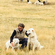 Louise's profile photo