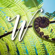 Waiotoi - 's profile photo